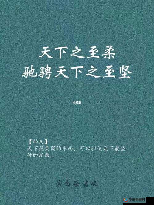 争天下之趣：探究争天下玩法的独特魅力