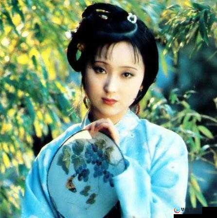 黛玉初试金箍棒别样风情