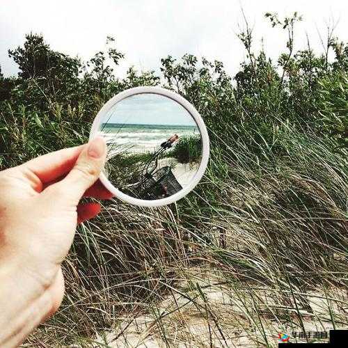 镜子中我们的结合处发出:奇妙的现象