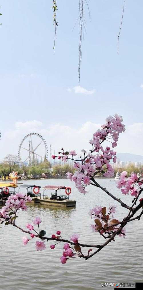 无人公园的狂野原作叫什么：探寻其背后的故事