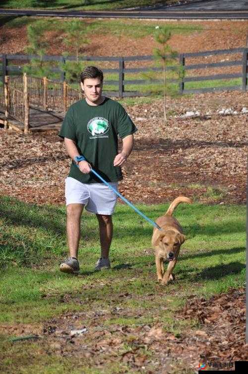 狗 Zoom 和人类 Zoom：谁更好？