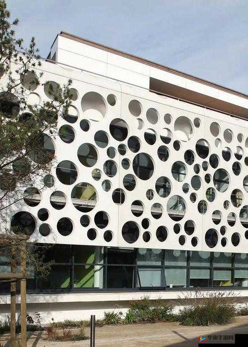 大丑黑的那天：是个怎样的日子