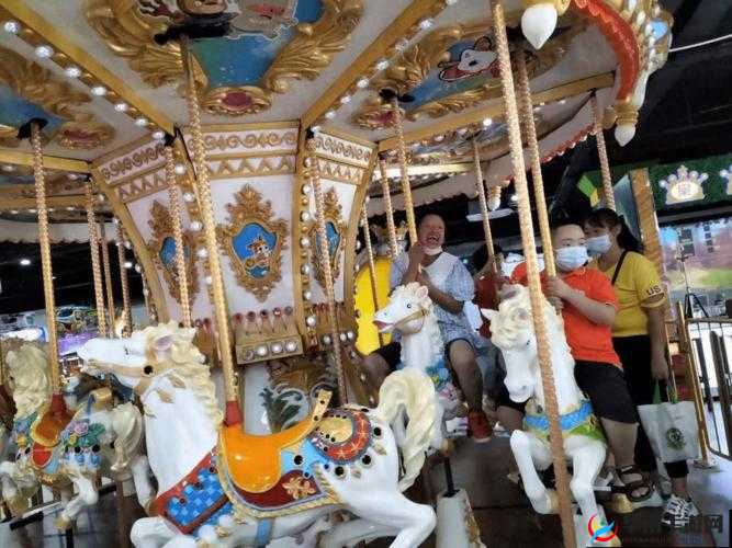 特殊游乐园 hgl：探索未知的奇妙之旅