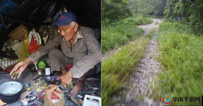 外国老人做交易森林：背后的秘密与真相