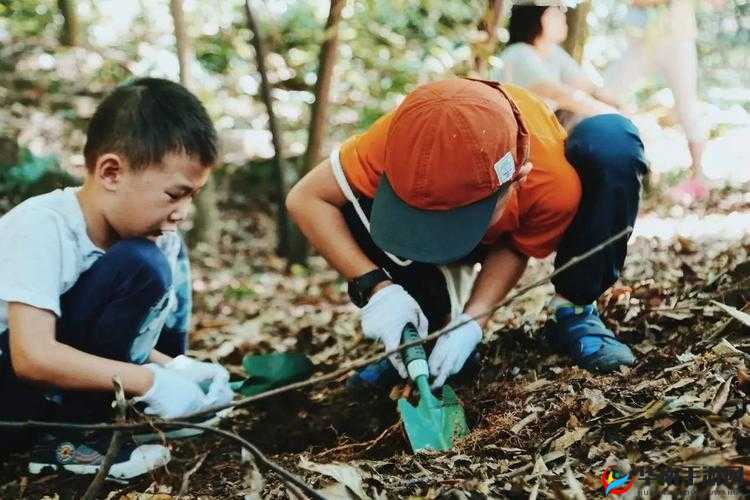 不安分的手：探索森林的秘密