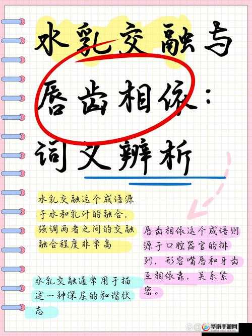 水乳交融，唇齿相依：爱与合作的奇妙关系