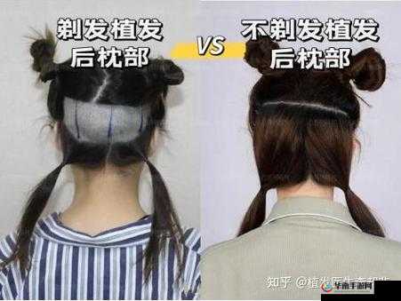 柚子猫不怕怀孕吗：为何有此疑问