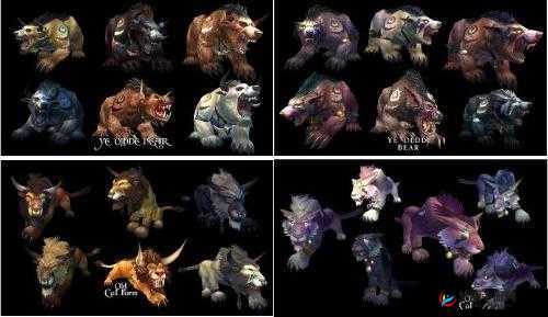 狼人德鲁伊与暗夜德鲁伊：自然之力的传承者