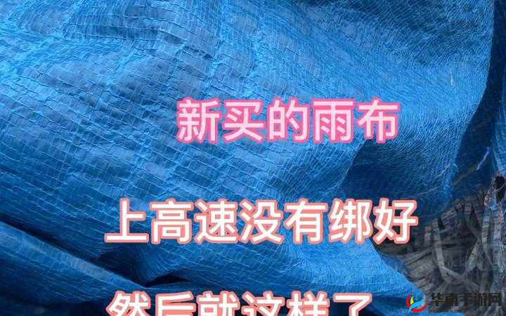 绯栧績鏌氬瓙鐚鐢橀洦鐨勬儏浜鸿妭绀肩墿：一个充满神秘与诱惑的故事