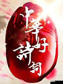 10 娆剧佺敤榛勫彴杞浠禷pp 缁垮法浜的介绍