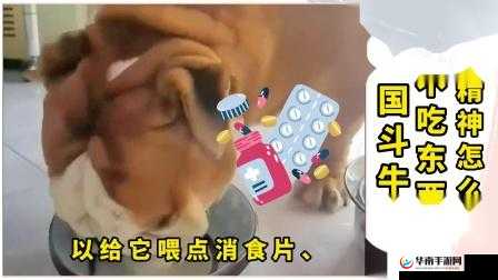 瑗挎柦琚鐒鍑虹櫧姘存庝箞鍔：探索其奥秘