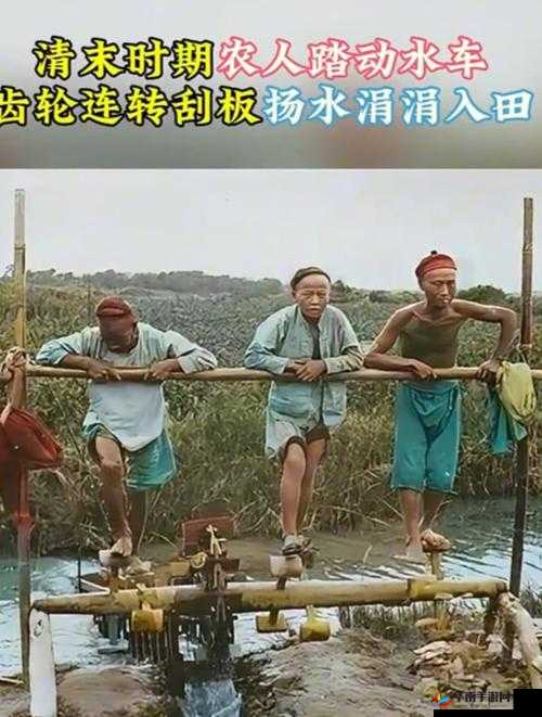 51 鍔ㄦ极瀹樼綉瀹樻柟杩涘叆鐗堟湰涓嬭浇相关内容