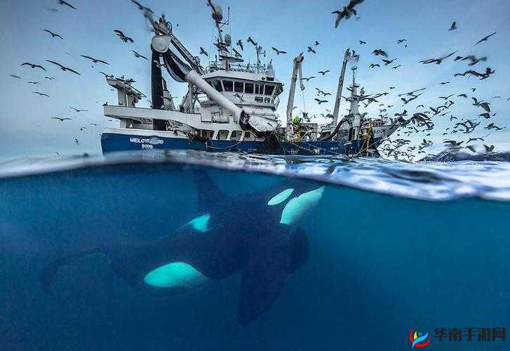 澶у╁瓙鑴卞皬濮戝樼殑瑁ゅ瓙鎬庝箞鍔- 应对之策