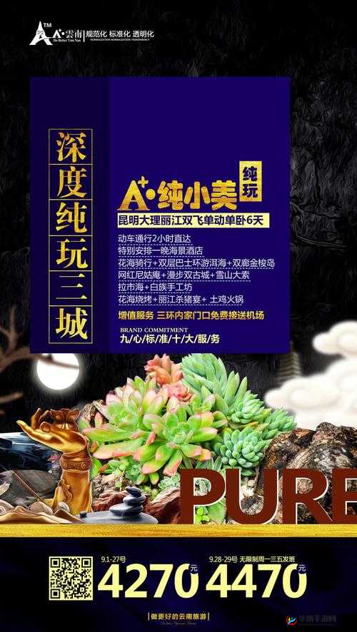 鍚庡厤璐硅傜湅鐢佃嗗湪绾块珮娓- 其独特魅力所在