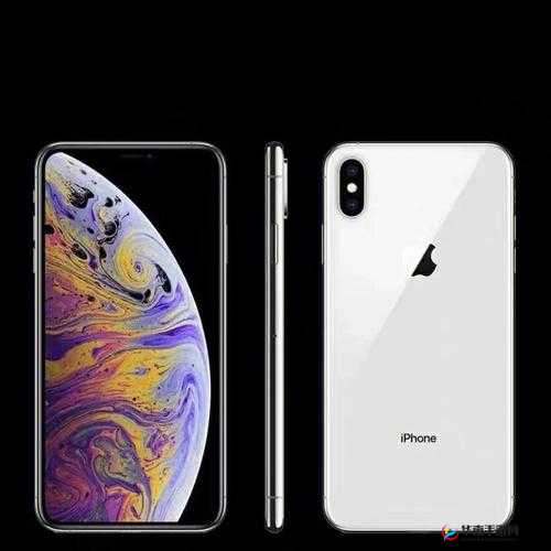IPHONEXSMAX 娆х編楂樼骇:极致性能体验