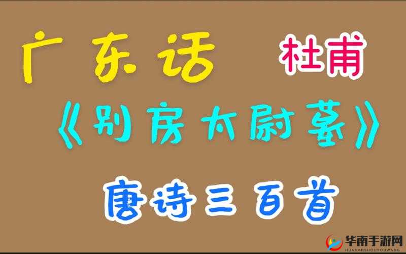 91楹昏眴绮惧搧涓浜屼笁浜у尯鍖哄埆:独特解析