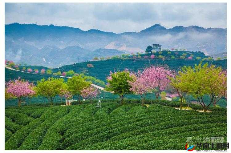 鏈遍棬缁f埛PRO 鐣澶:探索未知世界的神奇之旅