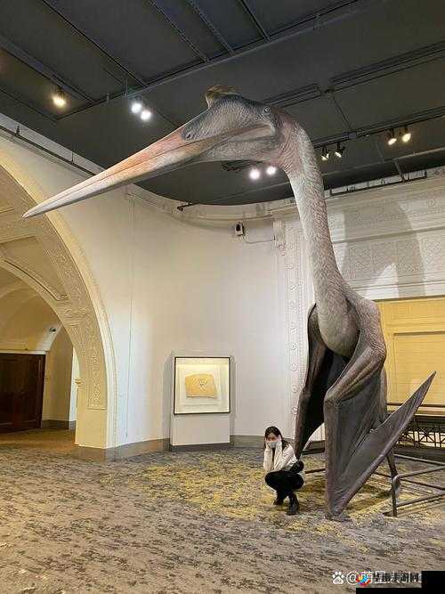 Quetzalcoatl 世界 7-2 关卡通关图文攻略全方位详细解析