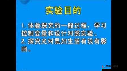 鎴愮啛鐨勫コ鐢熸湁鍝浜涚壒鐐：探索其背后的故事