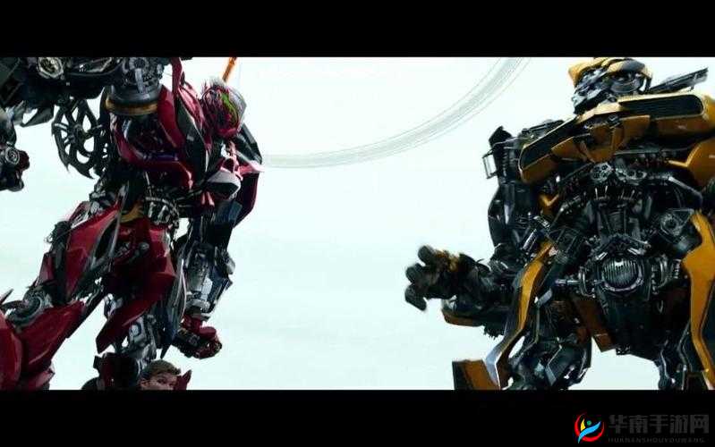 鎶婄孩閰掑掑叆 B 閲屽枬鎺：探秘其奥秘