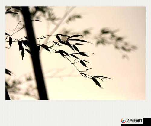 浜虹嫍鑳堕厤鏂瑰ぇ鍏:探寻神秘的历史遗迹