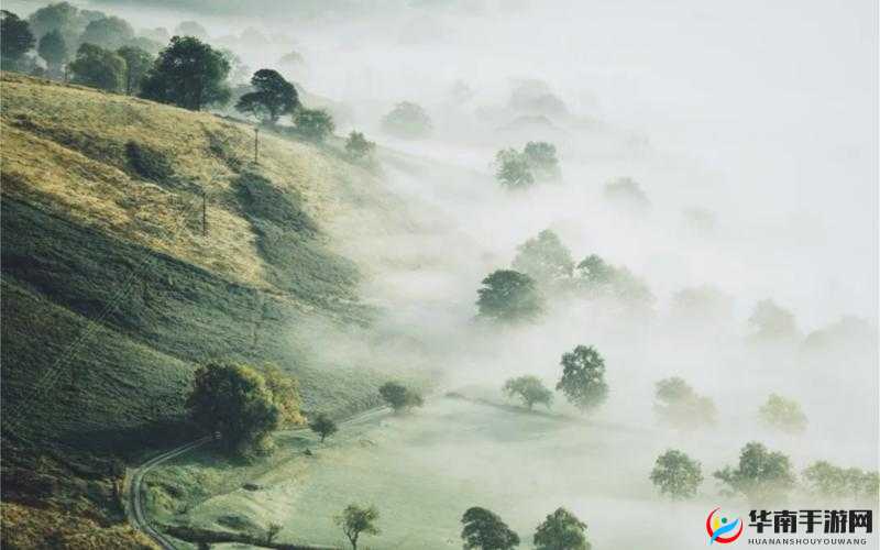 鑹茶壊鐪嬬墖：一个神秘的地方
