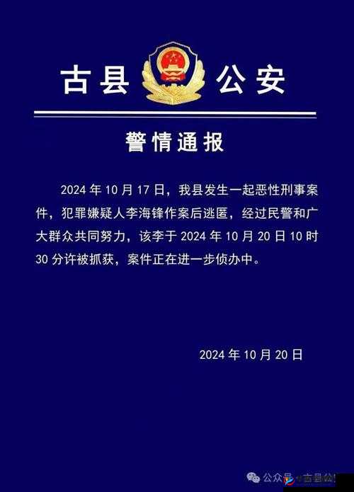 69XXX鈪Xx鍠锋疆:独特魅力彰显