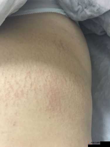 灏戠埛鎶芥彃鑳涓嬬樹功娣卞枆鏂囩珷：探索未知奥秘