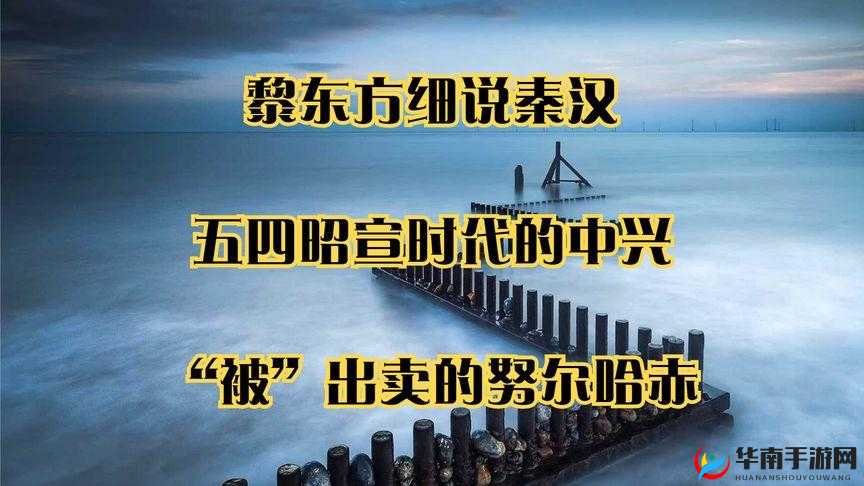 鍥戒骇涓2鍗3鍗″洓鍗$簿鍝丄PP鏀鎸佸畾鍒跺唴瀹之解析