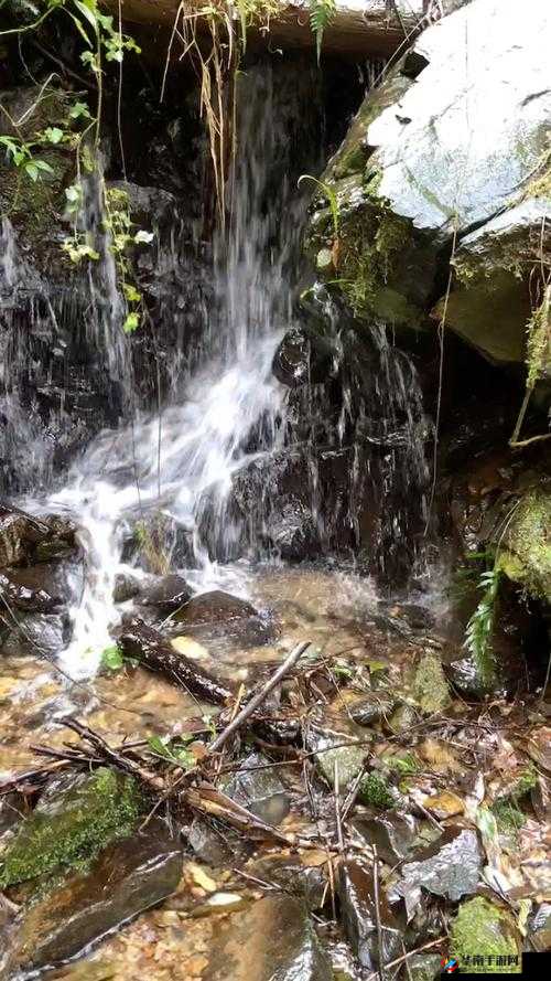 JY 鏀归犵郴缁的独特魅力与内涵