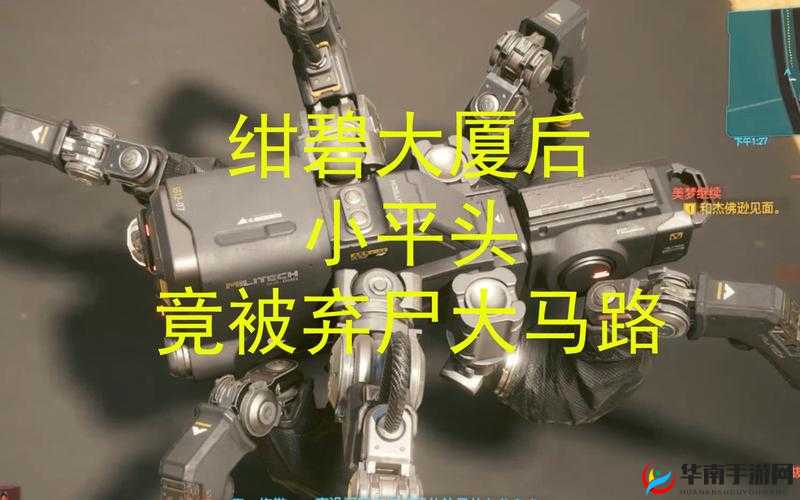 鍛ㄥ嶅笇琚灞的独特魅力与价值