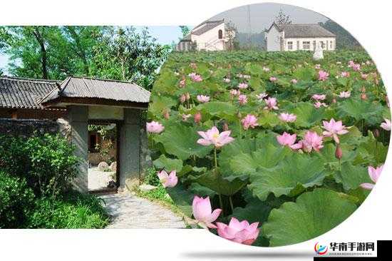 绛辩敯浼樹笅杞界數姊:精彩呈现