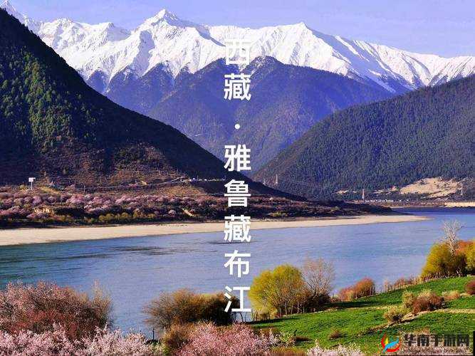 大明龙权封灵系统探秘：开启奇幻冒险之旅