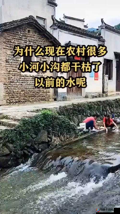 鑽夎帗瑙嗛戞Υ鑾茶嗛戜笣鐡滆嗛戝皬鐚瑙嗛戣嫻鏋：独特魅力展现