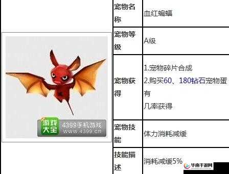 《天天风之旅》各级宠物图鉴详解大全：全面解析游戏内宠物种类与特性