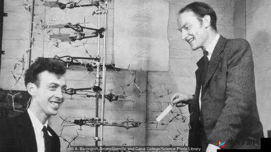 探秘命运之歌幽冥魔塔无限刷法之精妙攻略