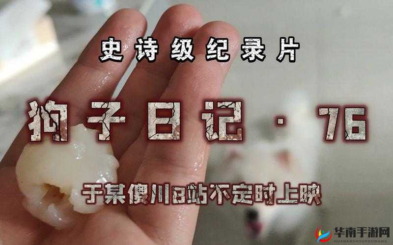 鑿犺悵铚滆傜湅璺绾夸粰韪鏋：探寻其背后的奥秘