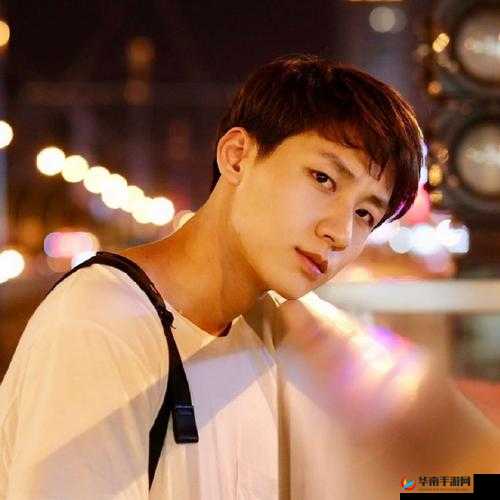 鎼炰腑鍑洪夯璞的独特魅力