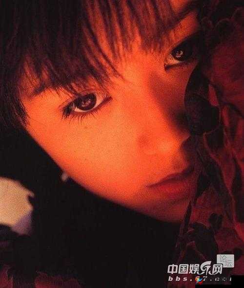 绯栧績VLOG瀹樼綉:带你走进精彩世界