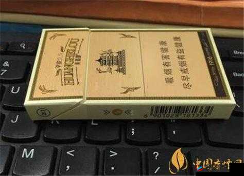 鏈鍚庡姞閫熷啿鍒哄嚑鍗佷笅:探索新的发展方向