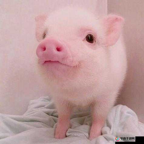 涔呬骇涔呬汉鍔涙湁闄愬叕鍙:独特的景象