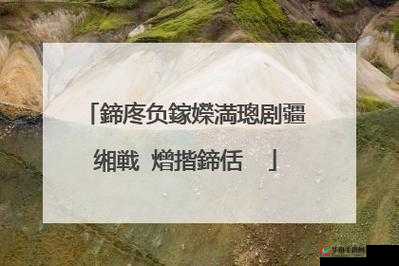 閾块數閿甸數閿靛厤璐硅傜湅缃戦〉鐗之分析