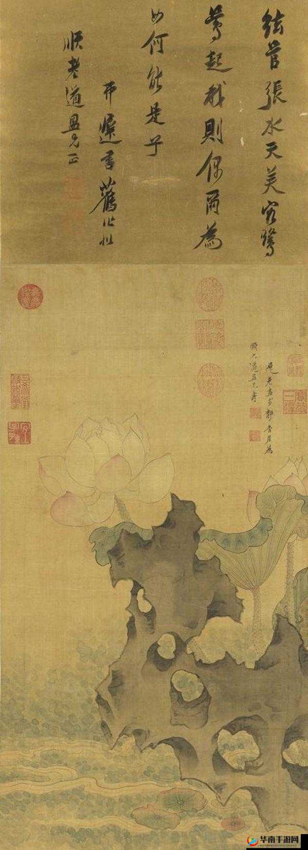 40 宀佸ぇ濡堣崚閲庡ぇ闀栧㈠ぎ瑙嗙邯褰：探索未知的奥秘