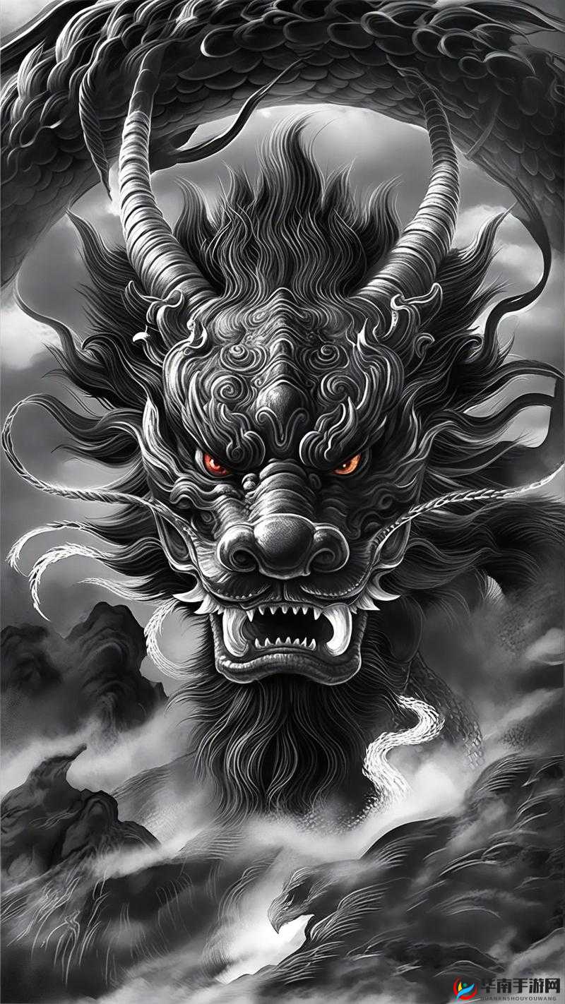 黑龙风暴特别篇:荣耀与鲜血的交织,战斗与牺牲的传奇