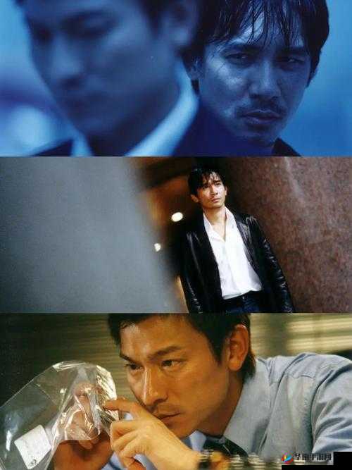 兄弟 1V2 前后：激烈对抗与情感纠葛