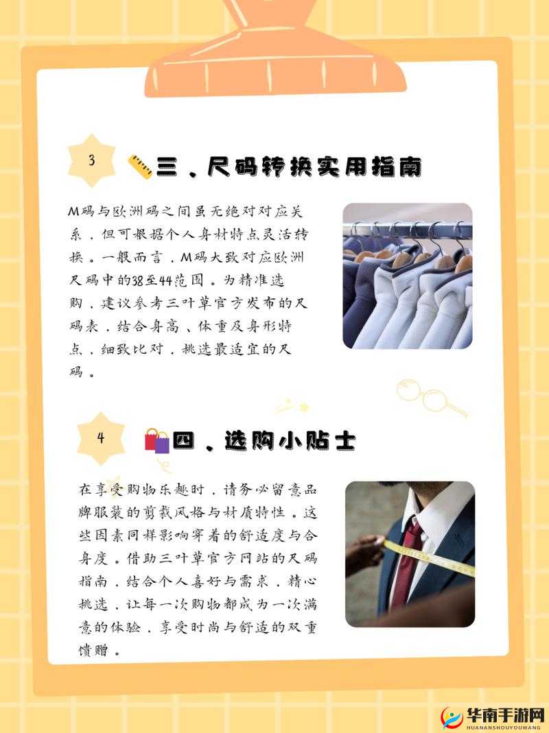 三叶草 M 码和欧洲码区别：详细对比分析