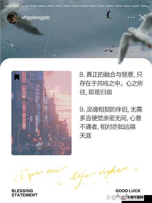 融为一体到底有多舒服：畅享极致舒适体验