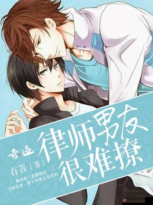 律师男友:难以攻克的爱情难题