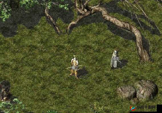 群臣共享的小公主银羽:传奇之旅