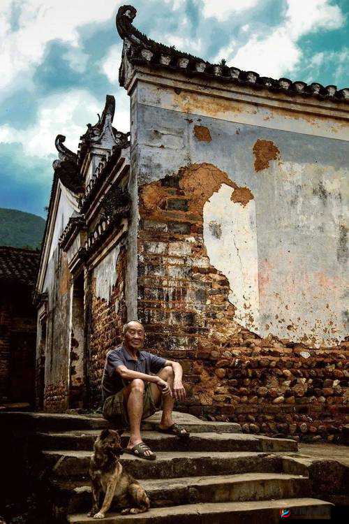 中国大但人文艺术-摄影之美